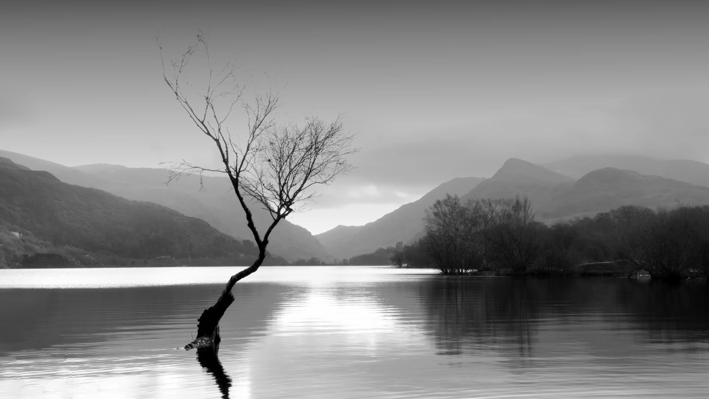 Read How to start a creative photography project (and actually finish it) by FOTO