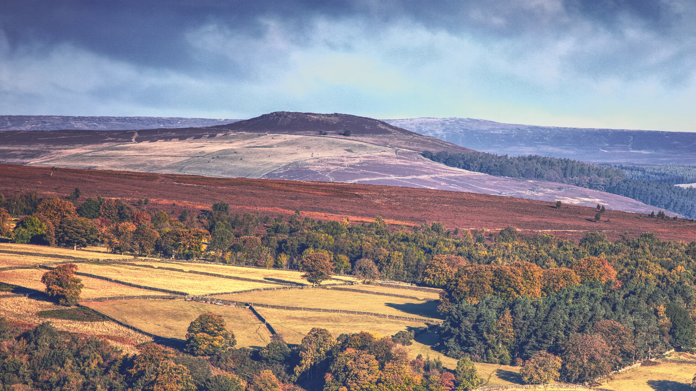 There's a strong chance this image contains the following subjects: tree,  landscape,  travel,  fall,  nature,  peakdistrict,  cropland,  valley. The photographer has provided the following description: Seen from up on Baslow Edge in the Peak District Photographer_name: Chris Michael. Title: Eyam Moor. The photographer has provided the following description: Seen from up on Baslow Edge in the Peak District Make: canon. Model: EOS R. Technical: Canon RF16mm. Published: 2025-09-05 19:11:31