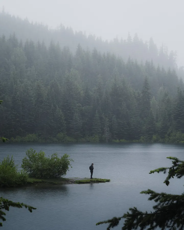 There's a strong chance this image contains the following subjects: tree,  fog,  water,  landscape,  lake,  mist,  nature,  wood,  river,  reflection. FOTO has this to say about the photograph: In the centre of the frame stands a lone figure, still, almost sculptural, surrounded by warm light and textured quiet. The room breathes around him, its minimal elements carefully composed to echo his contemplative stance. It feels like a pause in time, where solitude isn't empty, but softly intentional. Source: https://www.instagram.com/_photon8/ Photographer_name: Nate Rayfield. FOTO has this to say about the photograph: In the centre of the frame stands a lone figure, still, almost sculptural, surrounded by warm light and textured quiet. The room breathes around him, its minimal elements carefully composed to echo his contemplative stance. It feels like a pause in time, where solitude isn't empty, but softly intentional. Published: 2025-06-25 08:55:28