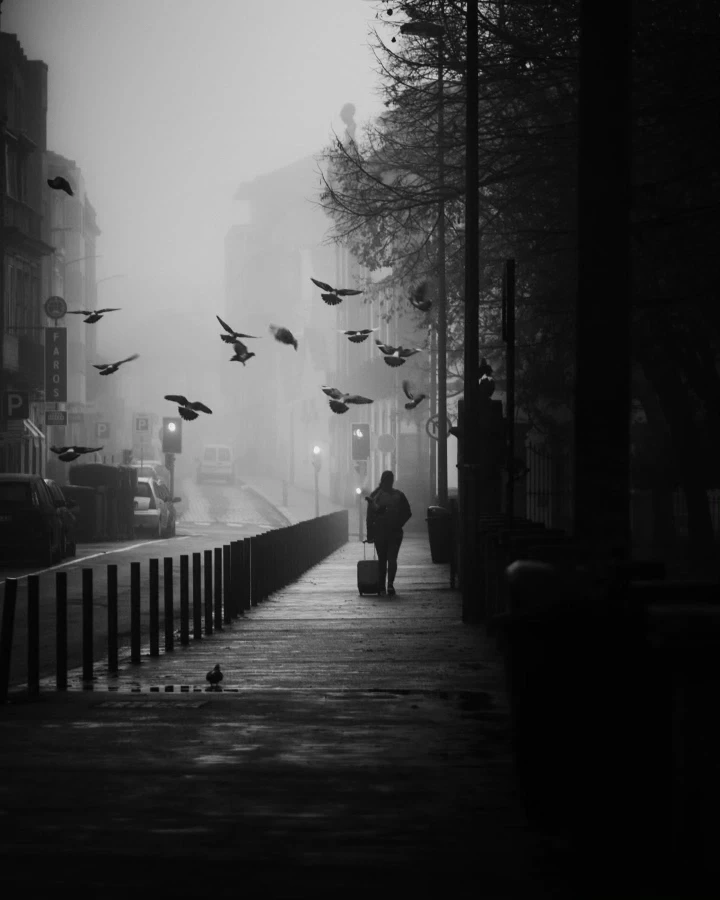There's a strong chance this image contains the following subjects: street,  monochrome,  fog,  light. FOTO has this to say about the photograph: Stunning depth from this black and white photograph by Portuguese photographer João. Source: https://www.instagram.com/jccabral_photography/ Photographer_name: João Cabral. FOTO has this to say about the photograph: Stunning depth from this black and white photograph by Portuguese photographer João. Published: 2025-06-13 15:05:38