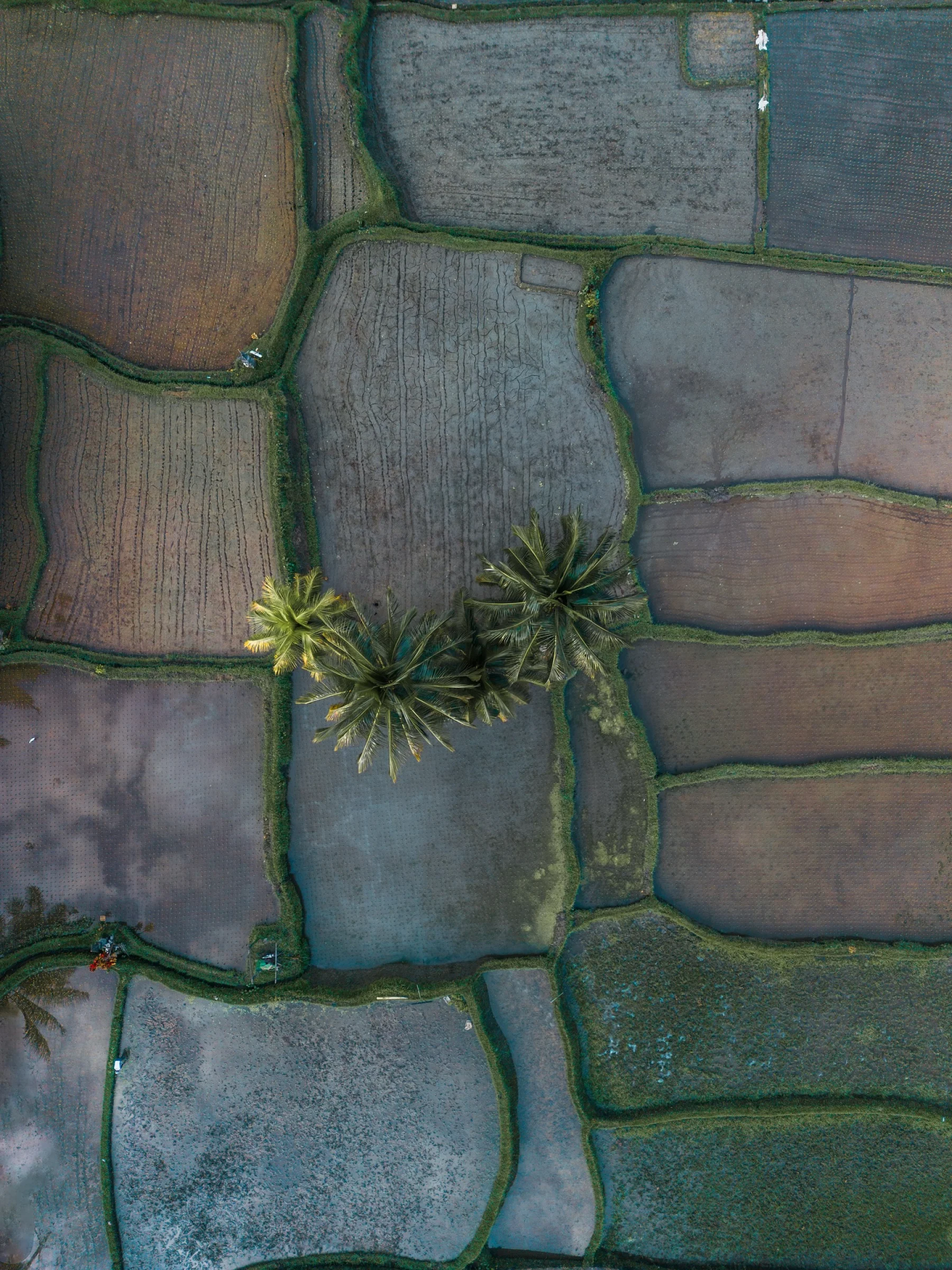 There's a strong chance this image contains the following subjects: nature,  aerial. Source: https://www.instagram.com/maud_bsc/ Photographer_name: Maud Bosco. Title: Indonesia from above. Make: dji. Published: 2025-10-12 11:50:46