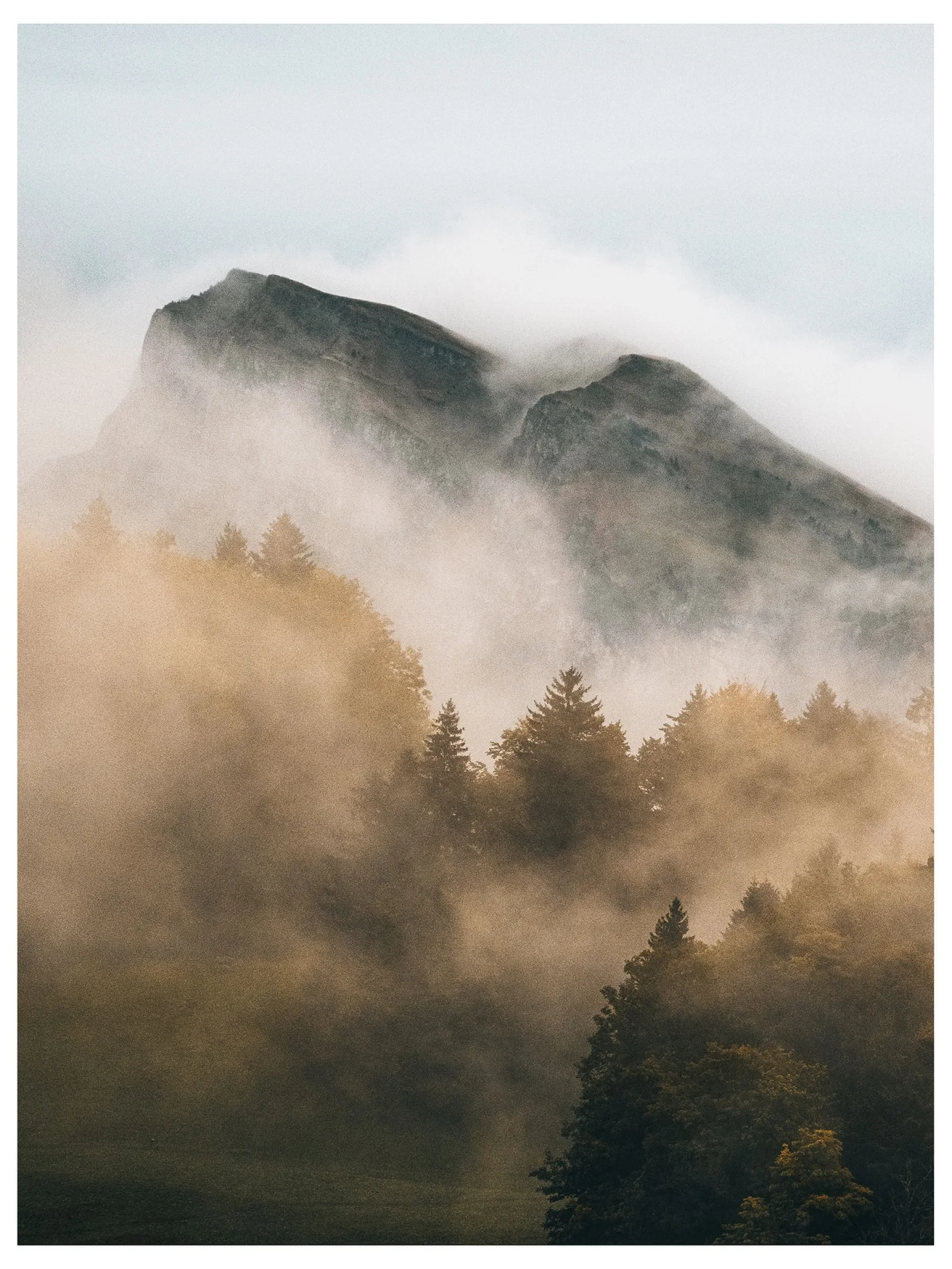 There's a strong chance this image contains the following subjects: fog,  landscape,  mountain. The photographer has provided the following description: Taken during autumn in Switzerland, mountain fog is one of my favourite things to have experienced in nature. Source: https://www.instagram.com/picsbydash/ Photographer_name: Dasha Butler. Title: Mountain Fog. The photographer has provided the following description: Taken during autumn in Switzerland, mountain fog is one of my favourite things to have experienced in nature. Make: nikon. Model: z7ii. Published: 2025-10-12 10:06:03