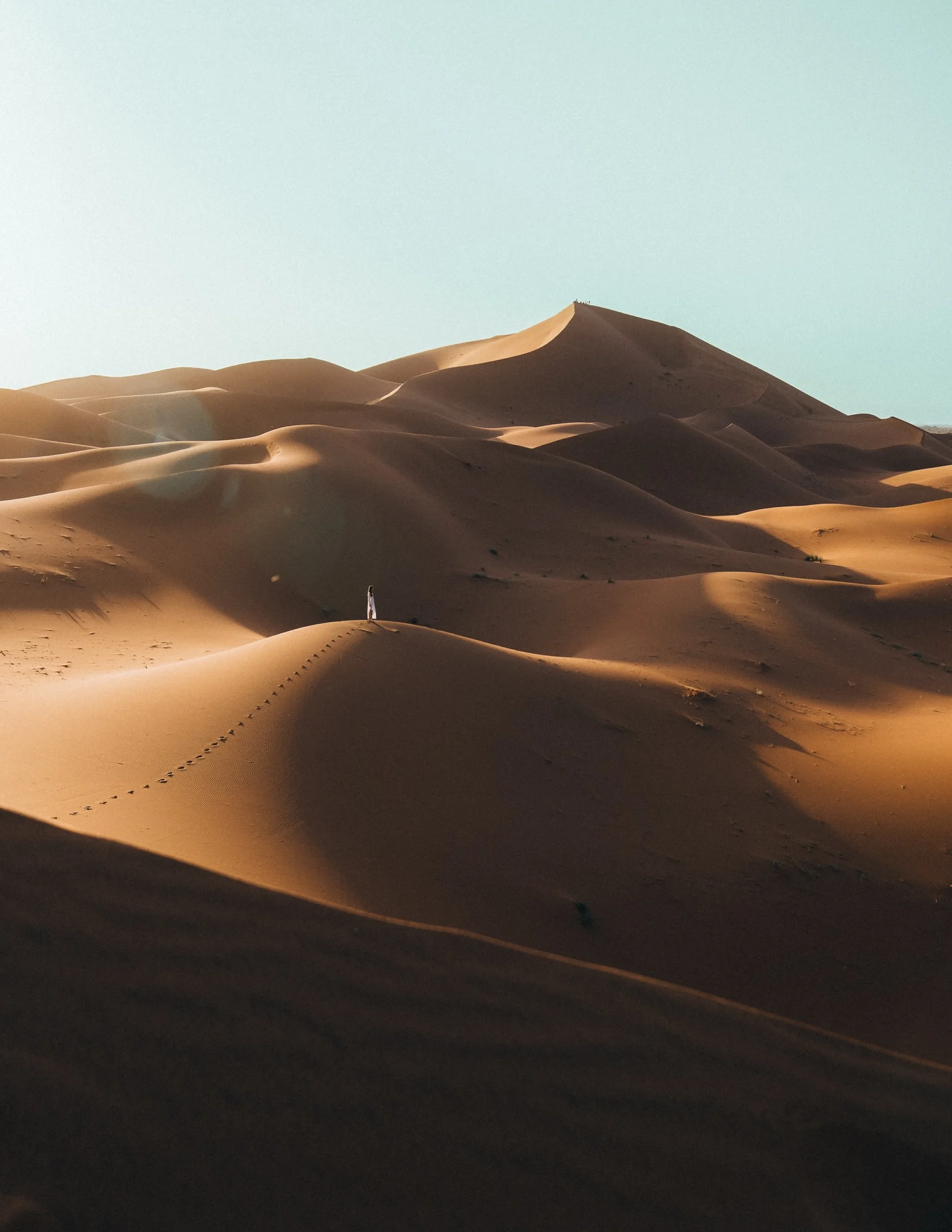 View FOTO's collection of desert photographs.