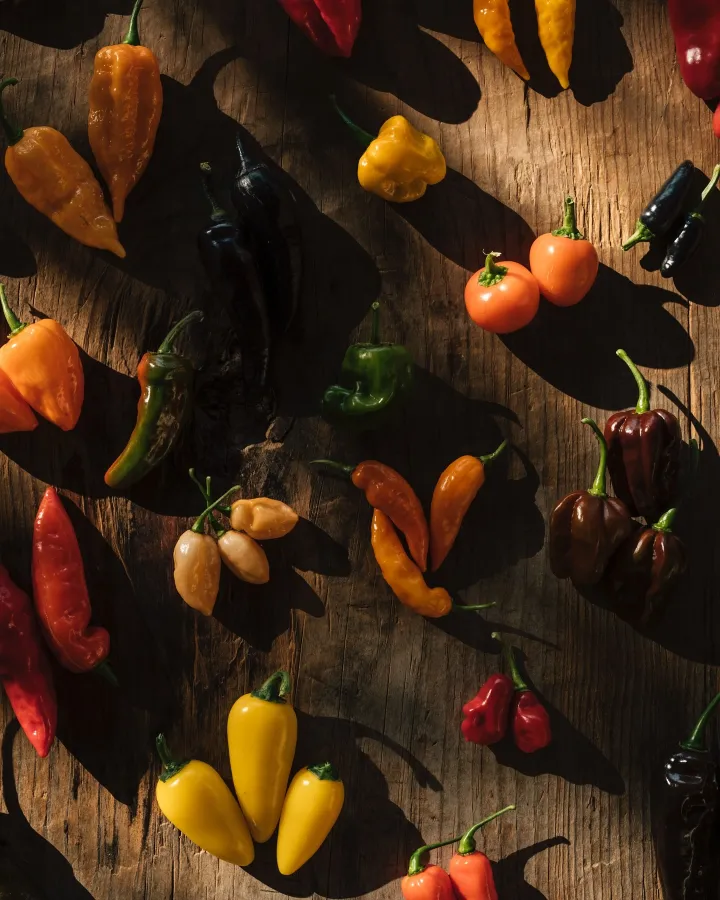 There's a strong chance this image contains the following subjects: food. The photographer has provided the following description: Handpicked peppers and fresh greens from our biodynamic garden, where nature takes the lead. Every flavour, every colour, crafted with care and ready to shine in our seasonal menu. Source: https://www.instagram.com/casalavanda/ Photographer_name: Casa Lavanda. Title: From our soil to your plate. The photographer has provided the following description: Handpicked peppers and fresh greens from our biodynamic garden, where nature takes the lead. Every flavour, every colour, crafted with care and ready to shine in our seasonal menu. Published: 2025-06-23 17:46:24