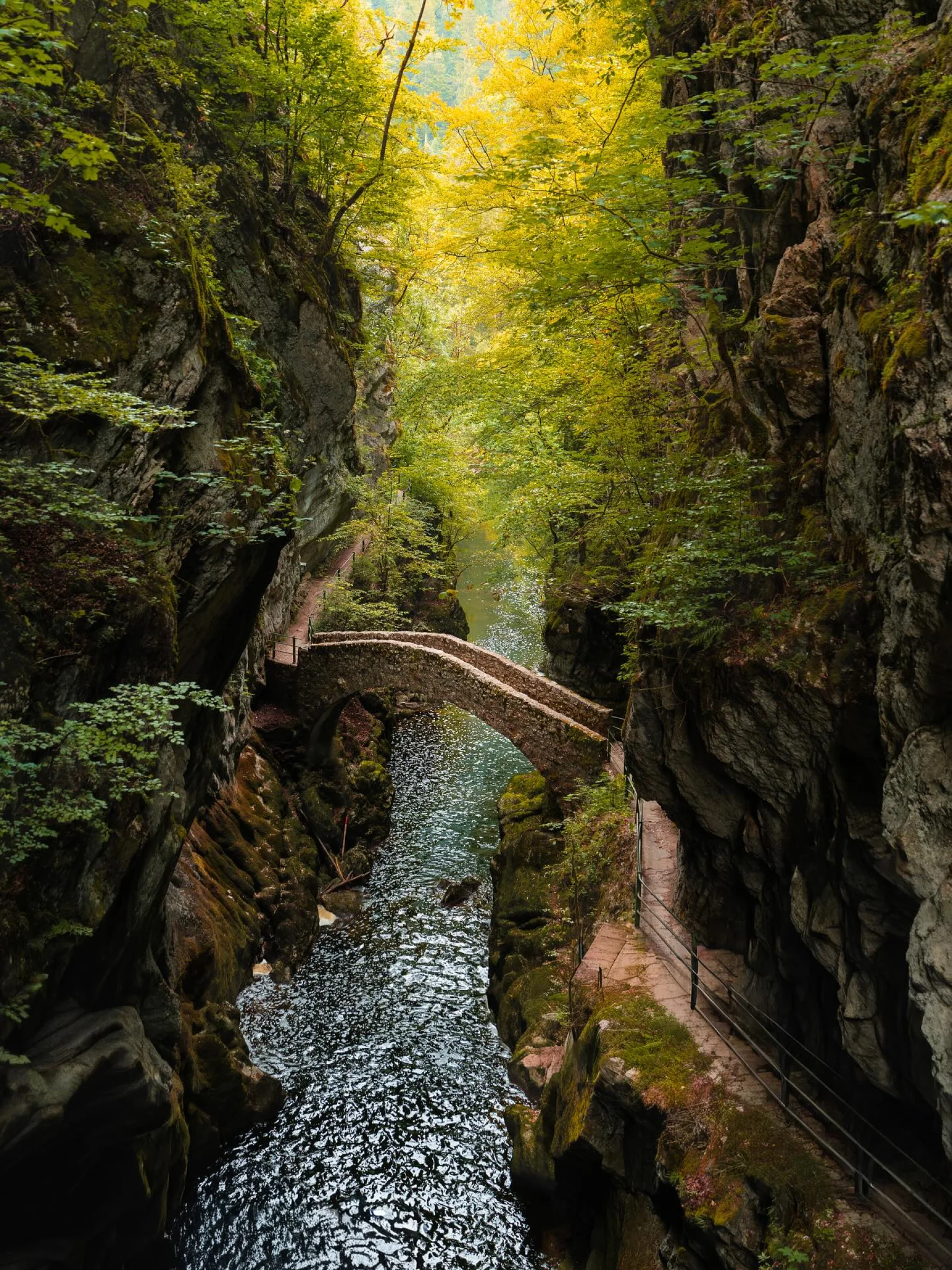 There's a strong chance this image contains the following subjects: nature. Source: https://www.instagram.com/visionbyleila/ Photographer_name: Leïla. Title: Gorges de l’Areuse. Make: sony. Model: a7c ii. Published: 2025-10-12 12:04:01