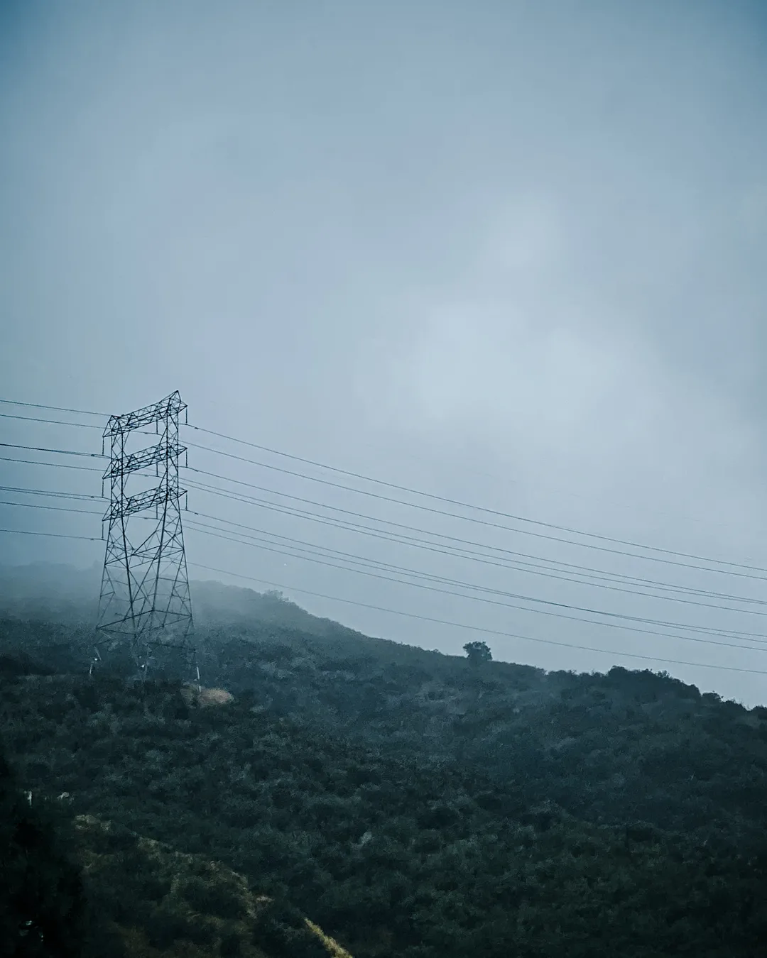 There's a strong chance this image contains the following subjects: tree,  nature. The photographer has provided the following description: Looking up at the Burbank Hills on an overcast day, with interesting structures casting silhouettes in the clouds. Photographer_name: Lee Sillery. Title: The Burbank Hills. The photographer has provided the following description: Looking up at the Burbank Hills on an overcast day, with interesting structures casting silhouettes in the clouds. Make: iphone. Model: 15 Pro Max. Published: 2025-06-25 23:52:56