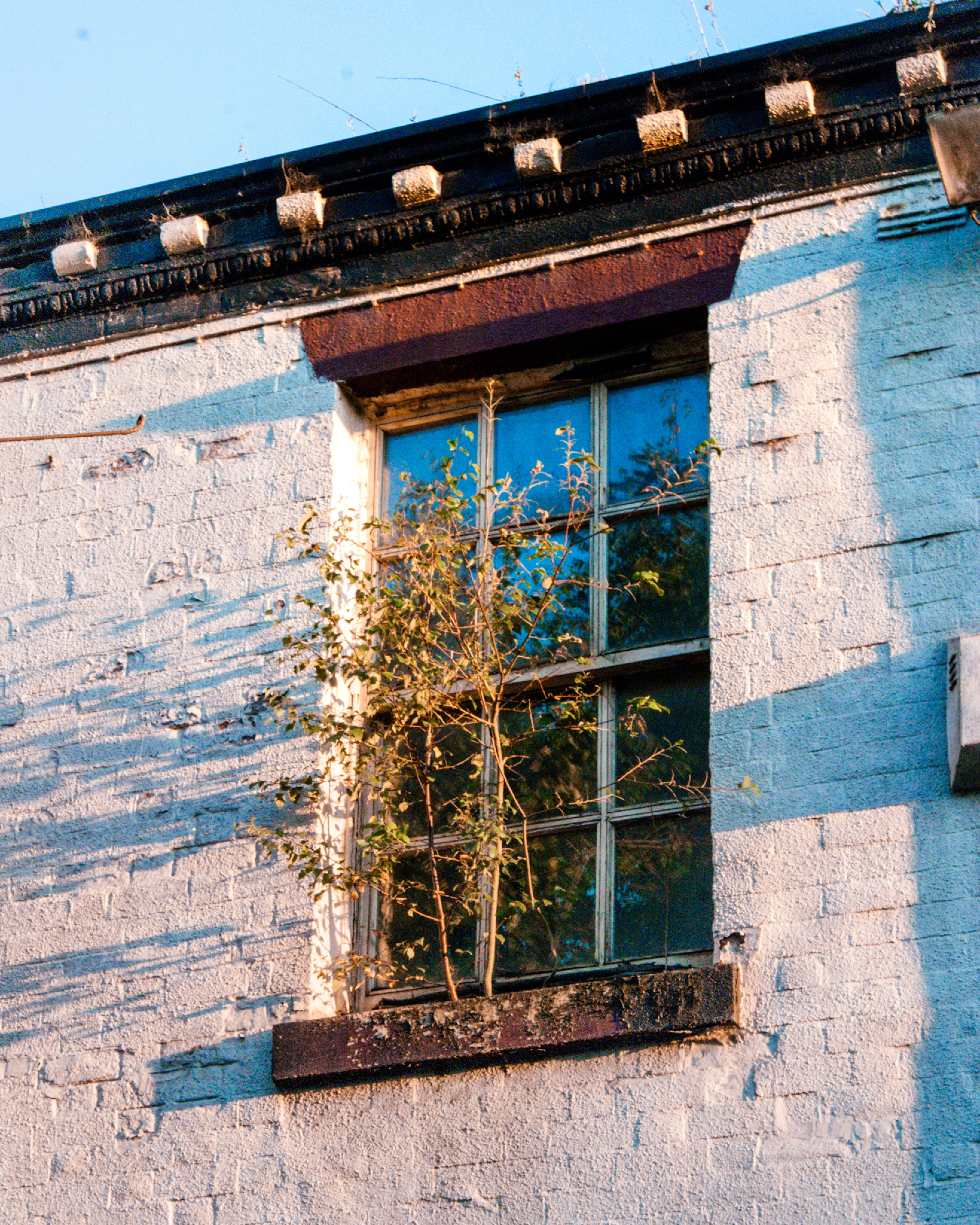 Read Golden Hour Photography and the Art of Seeing Beauty in Ordinary Places by FOTO