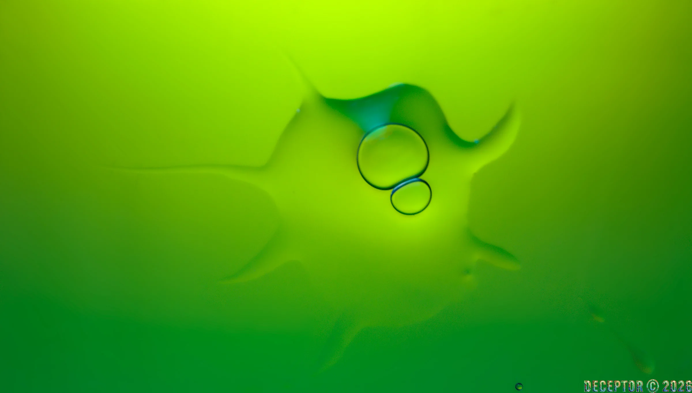Explore Robert A F van de Voort's profile on FOTO.